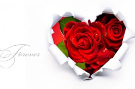 Quà tặng Valentine cho bạn trai cực ấn tượng